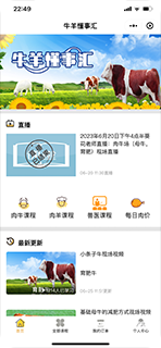 牛羊懂事汇